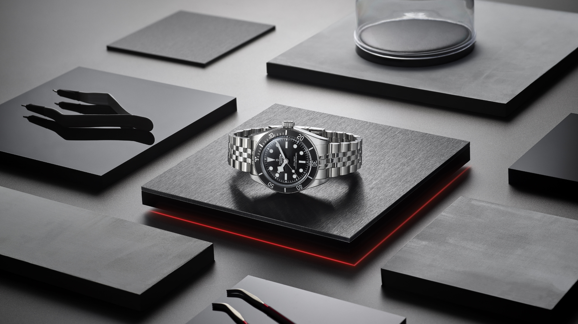 Tudor Black Bay