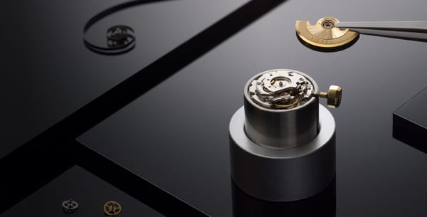 The Eco-Watch Report